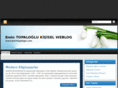 emintopaloglu.com