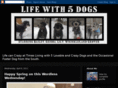 lifewith5dogs.com