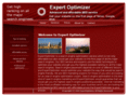 expertoptimizer.com