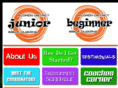juniorbiblequizzing.com