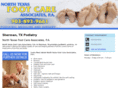 northtexasfootcare.net