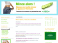 recettes-allegees.com