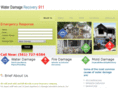 rhinowaterdamagerecovery.com