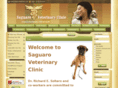 saguarovetclinic.com