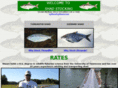 shadstocking.com