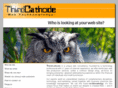 thirdcathode.com