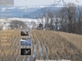 allamakeecountydeerhunting.com
