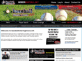 baseballny.net