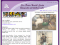 kromaschiropractic.com