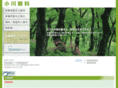 ogawa-eye.com