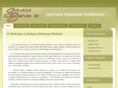 saharasolution.com