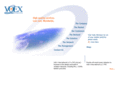 voexinternational.com