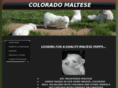coloradomaltese.com