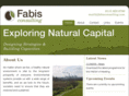 fabisconsulting.com