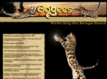 gogeesbengals.com