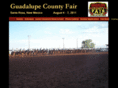 guadalupecountyfair.com