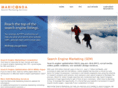 mariconda-searchmarketing.com