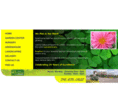 seasonalnursery.com