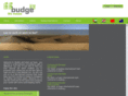 budgerecruitment.com