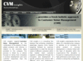cvminsights.com
