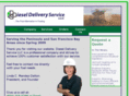 dieseldeliveryservice.com