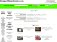 newportnewsboats.com