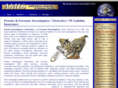 pi-nowonline.com