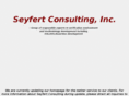 seyfert-consulting.com