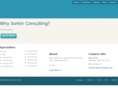 sorkinconsulting.com