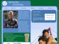 springbaycounseling.com