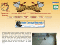 carpetcleaningtallahassee.com