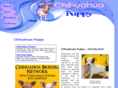 chihuahua-puppy.org