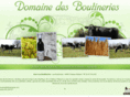 domainedesboutineries.com