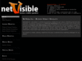 netvisibleinc.com
