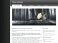 precise-limousine.com