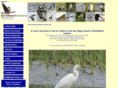 sligobirding.com