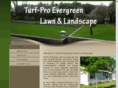 turfproevergreen.com