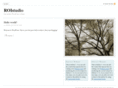 roistudio.com
