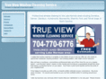 trueviewclean.com