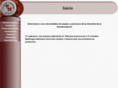 txingenieria.com