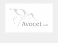 avocet.be