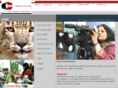 crown13.com