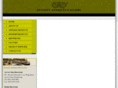 dynasty-antiques-modern.com