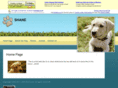 jemstars.com