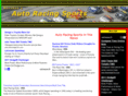 auto-racing-sports.com