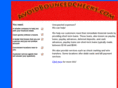 avoidbouncedchecks.com