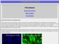 fibroblast-transfection.com