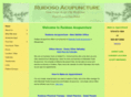 ruidosoacupuncture.com