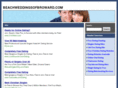 beachweddingsofbroward.com