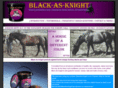 blackasknight.com